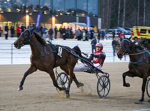 Moonlight Velvetin tyylinäyte Jyväskylän maalisuoralta. Kuva: Anu Leppänen.