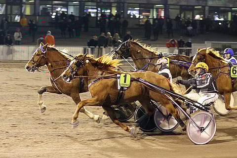 Pyörylän Paroni puristi lopussa sisäradan Vixuksesta ohi Kavioliigan Grand Prix'ssa.