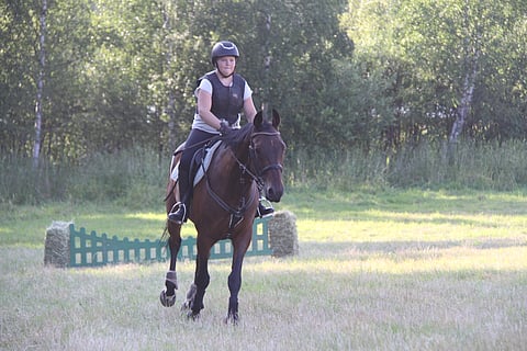 Hyviä opetushevosia on vaikea löytää.