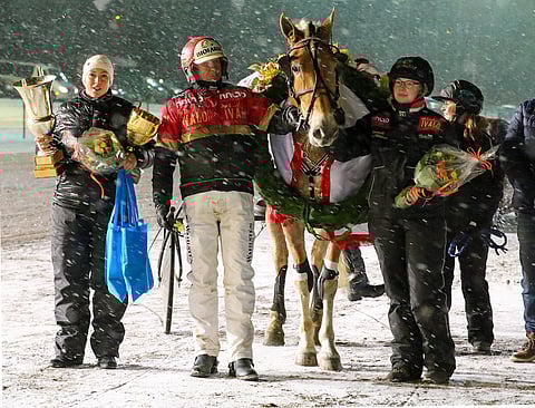 Lumipyry verhosi Tammaderbyn sankarittarena seppelöidyn Suven Sametin liinaharjan. Kuva: Anu Leppänen.