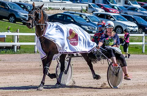 Diamond Lordia juhlittiin kesäkuussa 75-voittajana Kajaanissa. Hevosen liisannut Heidi Turula valmensi sitä tuolloin.