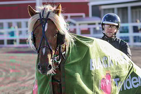 Menestysjyvän löytäneet Vonkari ja Juha Lindroos onnistuivat jälleen. Arkistokuva: Anu Leppänen.