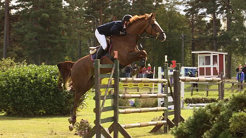 Mikael Forstén on voittanut ensimmäisenä suomalaisena esteratsastajana maailmancupin osakilpailun, mutta mikä oli hevonen?