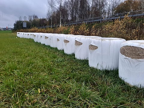 Viillot oli vedetty niin, etteivät ne näkyneet tielle päin. Kuva: Saija Härkänen