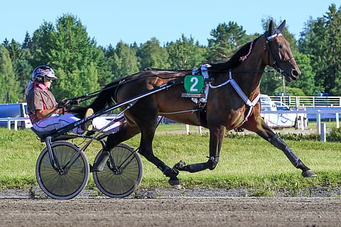 Voittokantaan palannut Cool On Photos rattaillaan valmentaja Neea Espo. Arkistokuva: Roosa Lindholm.