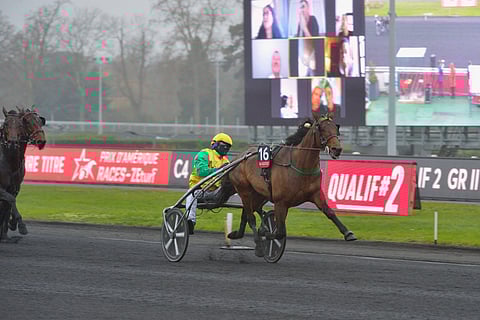 Face Time Bourbonin lennokasta menoa loppusuoralla. Kuva: LeTrot