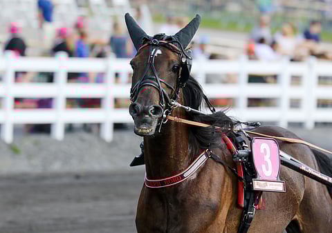 Ruotsissa syntynyt Joseph Boko menestyy sekä Ruotsissa että Suomessa. Seuraavaksi on taas Suomen vuoro.