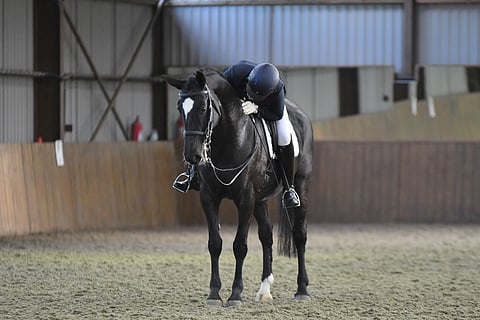 Kaisa Kähö ja Kyra Kyrklundin kasvattama ja omistama tamma Top Rose kilpailuissa lopputervehdyksessä.