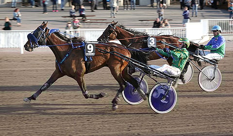 BWT Ellospank on hyvä varma illan kierrokselle.