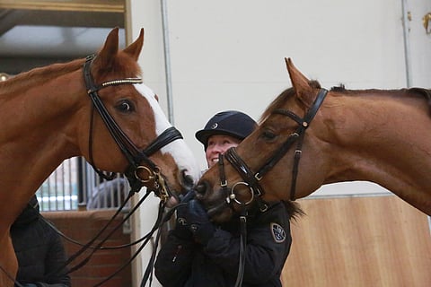 Emma Kanerva hevosineen, oikealla päivän tähti Greek Air, vasemmalla Riverdance.