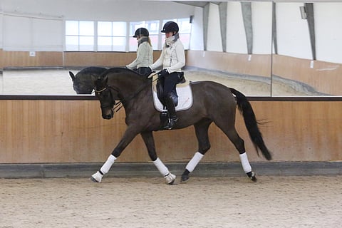 Emma Kanerva ja Mist of Titanium kotityöskentelyssä.