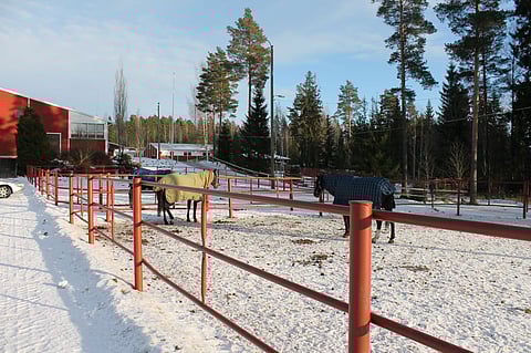 Osaomistajat suhtautuvat vakavasti Hevosopiston ryhmäkanteluun: ”Tavoitteena häiriötön ja turvallinen työyhteisö”