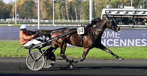 Martin de Bos osaa voittaa Vincennesissä. Kuva: Gerard Forni