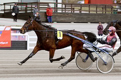 Päätöskohteen suosikki Perchpond on torstai-illan varmimpia menestyjiä.