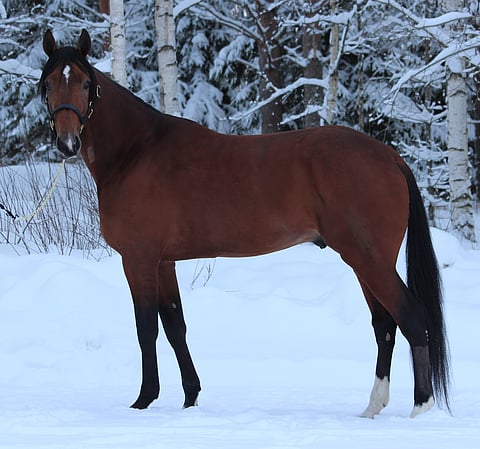 Expectations saapui tiistaina Keuruun lumisiin maisemiin.