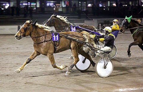Juha Jalonen on ajanut Kromauksen kaikki kisat. Tässä kaksikko voittaa Vermossa 28.10.2020.