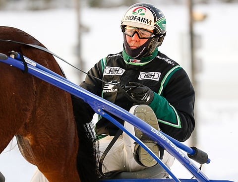 Marko Heikarin valmentama ja ohjastama Damian on ideavihjeen tukipilari.