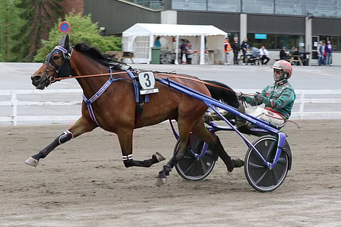 Marschall Match on jälleen voittojahdissa lauantaina. Kuva: Jarno Unkuri