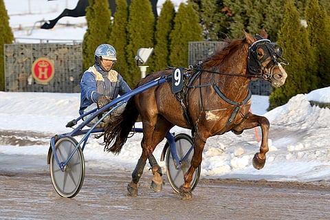 Välähdys ja Ville Korjus. Kuva: Anu Leppänen.