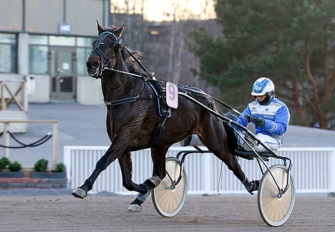 Jarmo Saarelan usein ohjastama Capo saa maanantaina rattailleen uuden kuskin.