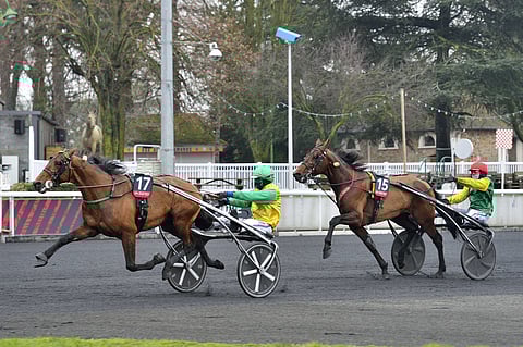 Face Time Bourbon ja Davidson du Pont kohtaavat tällä tietoa uudelleen Prix de Francessa.