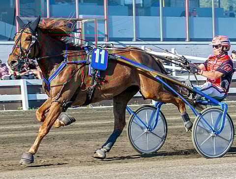 Kevinin Tähti nappasi voiton viimeksi kesäkuussa Torniossa. Kuva: Jari Piirala