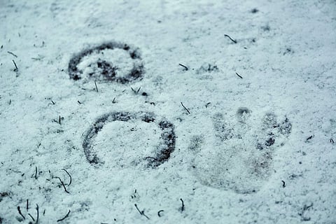 Forssa jättää "lumiravit" tänään suosiolla väliin. Kuva: AP