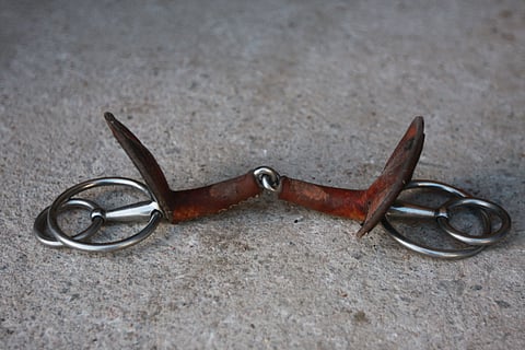 Puoltajankuolaimen käytössä on riskejä.