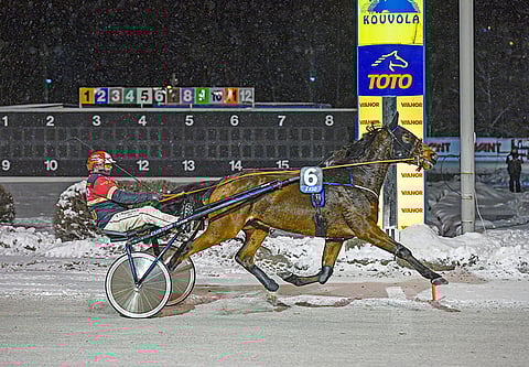 Jacques Hyneman saa tällä kertaa kyytiinsä Esa Holopaisen, mutta rauhallinen mies saattaa onnistua kesyttämään huippukuntoisen ruunan.