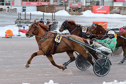 Lissun Eerikki näytti heti kauden avauskilpailussaan keulapaikalta muille kaapin paikan. Kuva: Anu Leppänen