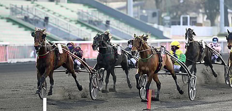 Delia du Pommereux kirii ohi Face Time Bourbonin. Kuva: Gerard Forni