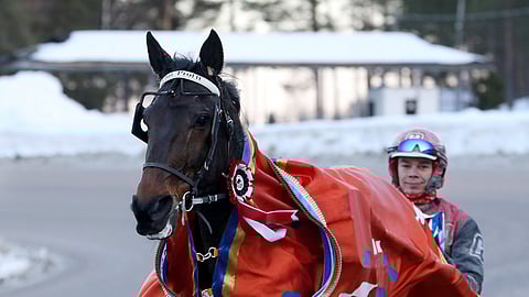 Thai Profit loisti Kavioliiga Grand Prix'ssä 27. helmikuuta, muttei ole sen jälkeen kilpaillut.