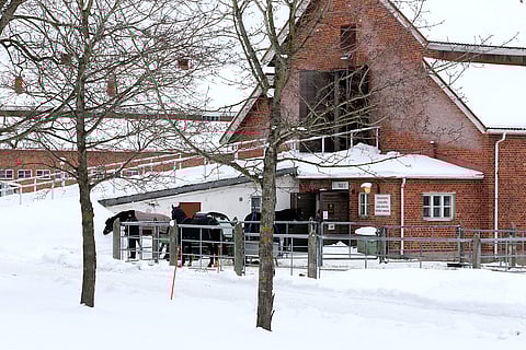 Hevosopistolla pohditaan uutta strategiaa.