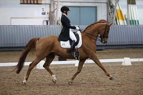 Anna von Wendt ja Denzel, 19 vuotta, tekivät ennätysprosenttinsa.