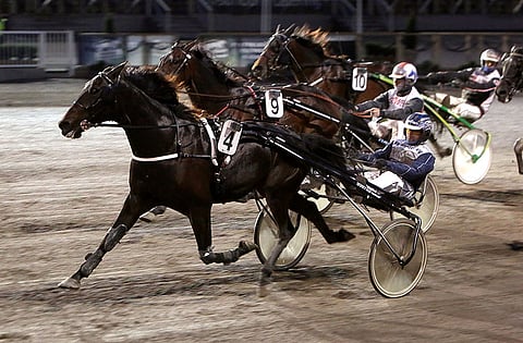 Black Emperorilla on hyvä mahdollisuus voittoon.