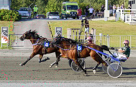 Cape's Captain (4) on perjantain Toto5-pelin suurin suosikki.