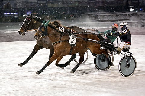 Mickan piti Credit To Dreamin takanaan, mutta tuomariston mukaan sääntöjen vastaisesti.