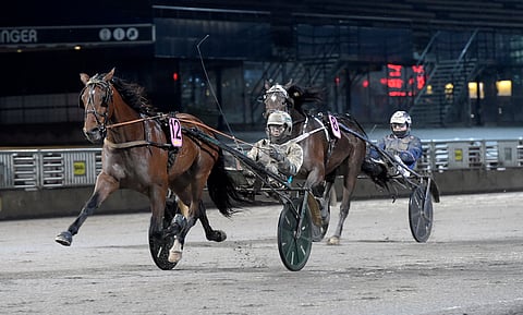 Hawk Cliff päätti viime kautensa komeaan Solvallan voittoon mailin ryhmässä radalta 12.