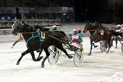 Kuvateksti: Suurikokoinen Indyana Joness vaatii pitoa, jotta hevosvoimat olisivat täydessä käytössä. Kuva: Pekka Salonen