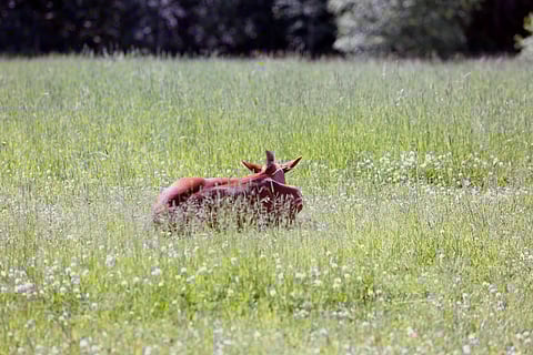 Miten teillä nukutaan?