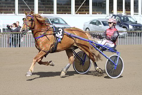 Valtroks on voittanut urallaan jo 24 kertaa.