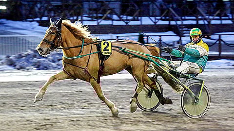 Uransa kahdeksalla peräkkäisellä täysosumalla aloittanut Avot kärsi viimeksi uransa avaustappion, mutta hakee pikaista paluuta voittokantaan.