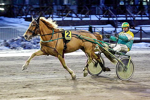 Uransa kuudella voitolla 9-vuotiaana aloittanut tappioton Avot lähti käymään kotona omistajallaan Sauli Lähdeniemellä. 