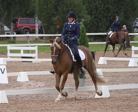 Haavis-Estelle palkittiin.