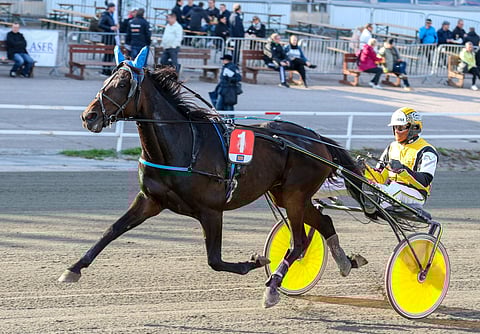 Paddock’s Star kilpaili urallaan 74 kertaa totosijoin 7-9-6 ja tienasi 21 295 euroa. Jarmo Savolainen ajoi starteista kahta lukuun ottamatta kaikki.