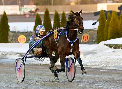 Ricocone aloitti kautensa loistavasti ja ehti tienata ennen loukkaantumistaan neljässä kuukaudessa 23 950 euroa. Kuva (tammikuulta Turusta): Anu Leppänen