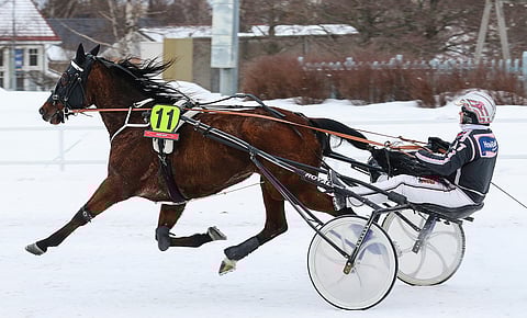 Tiina Koskisen valmentama ja Antti Teivaisen ohjastama Wide Game toimii ideasysteemin varmana. 7-vuotias Wide Game starttaa uransa 60. kilpailun ja mikäli rahasija tulee, nousee ruunan voittosumma yli 50 000 euron.