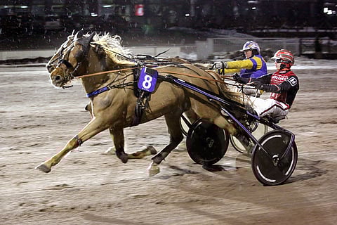 Drakenilta löytyy kova tahto voittaa kilpatoverinsa. Aina se ei tee isoa eroa, mutta hoitaa hommansa vakuuttavasti. Kuva: Pekka Salonen