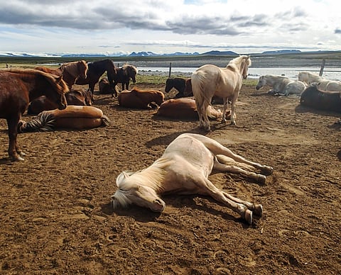 Uni, tuo suuri mysteeri.