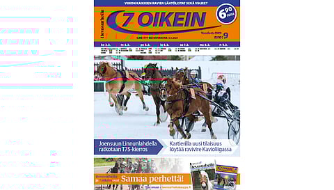 Rospuutto kolkuttelee, mutta ravipeleissä riittää tarjontaa